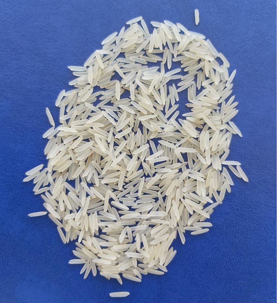 Rice Grain